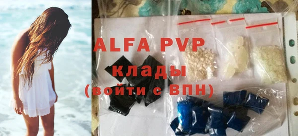 сатива Горняк
