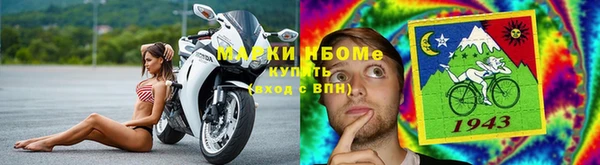 СК Дмитровск