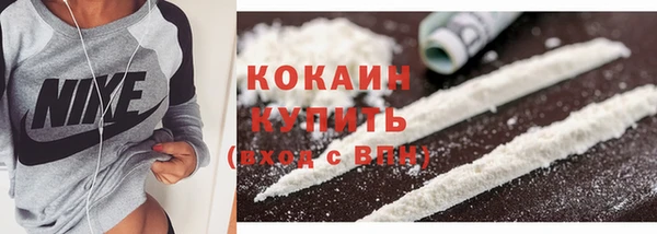 сатива Горняк