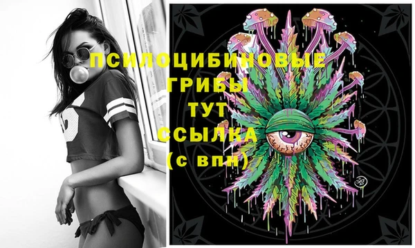 spice Мегион