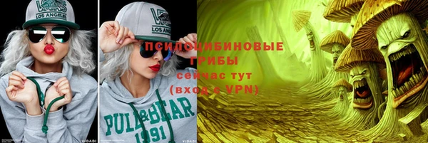 крисы Горнозаводск