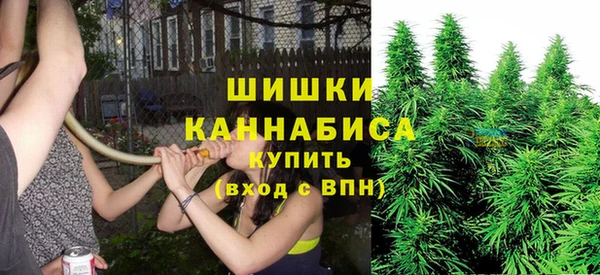 spice Мегион