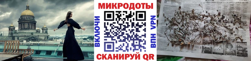 Псилоцибиновые грибы Psilocybine cubensis  Данков 